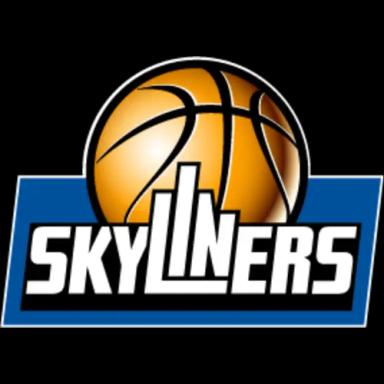 Logo: SKYLINERS 