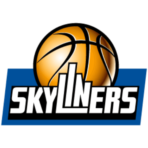 SKYLINERS  logo